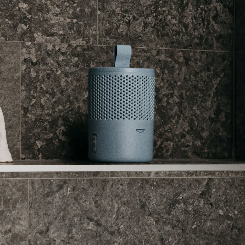 Absodry Series 6