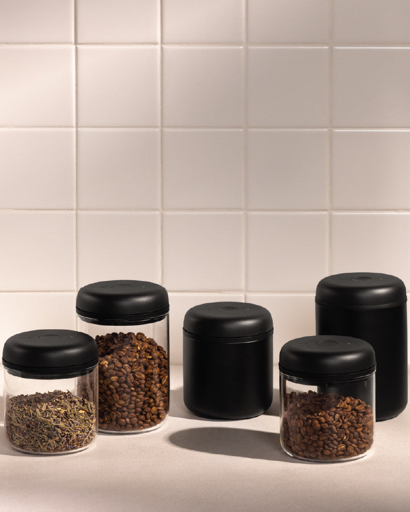 FELLOW Atmos 電動真空密封罐