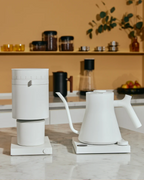 FELLOW Stagg EKG Electric Kettle