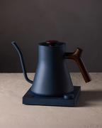 FELLOW Stagg EKG Electric Kettle